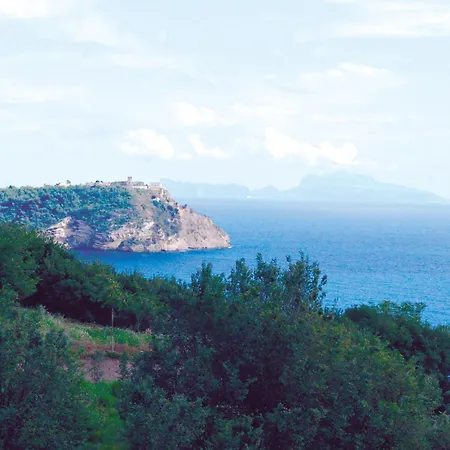 Mini - Angolo Di Paradiso -